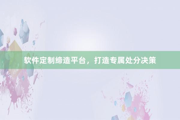 软件定制缔造平台，打造专属处分决策