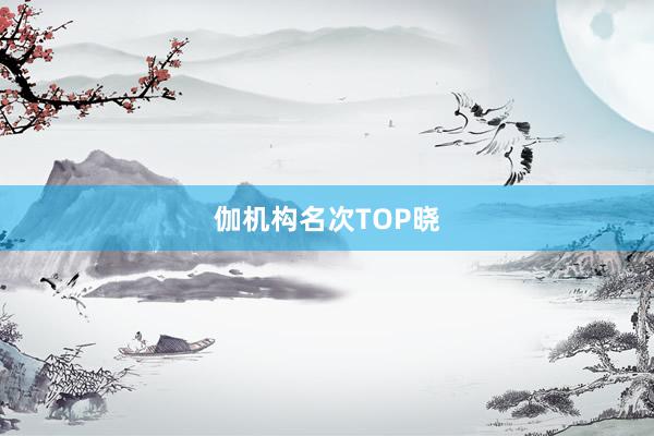 伽机构名次TOP晓